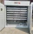 Import automatic incubator 352 eggs egg incubator for sale from China