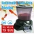 Import Automatic Pond-Fish Feeder from China