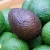 Import AVOCADO FRESH / Aguacate / PALTA HASS Fresh Fruit &amp; Hass Avocados from South Africa