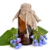 Baolin 100% Pure natural Comfrey essential oil Abosulte oil wholesales  offer OEM service private label