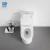 Import bathroom one piece white ceramics new wc piss sanitary ware toilet from China