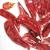 Import Best Price Top Quality  Hot Red Chilli  Product from China