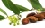 Import best processor of natural jojoba seed oil from India