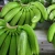 Import Best quality Fresh Green Banana Specifications. from Germany