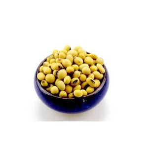 best quality grade yellow soybeans