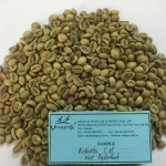 Best Quality Unwashed Robusta Coffee Bean Vietnam/whatsapp: +84 888 423 219