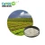 Import Biological Fertilizer Feed additive grade Organic fertilizer 10 bilion cfu/g Compound Bacteria from China