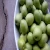 Import Black and green olives/Fresh Black and green olives from Thailand