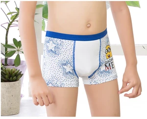 Four Colors Cute Printing Cotton Kids Underwear Set Wholesale - China Kids  Underwear Wholesale and Boy Underwear price