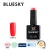 Import Bluesky beauty care material uv gel polish for nail arts design supplies from China