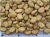 Import Broad/Fava Beans with competitive price New crop2018 from China