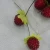 Import BSCI eco friendly plastic crafts red artificial berries from China