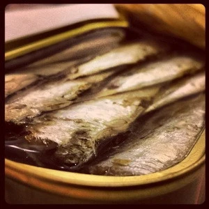 Canned Fish, Canned Mackerel, Canned Sardine