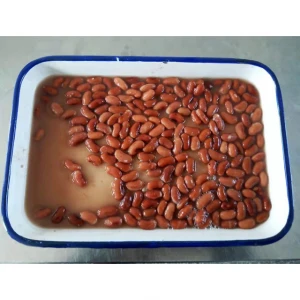 canned light red kidney beans in brine or in tomato sauce