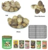canned straw sliced mushrooms Vegetables for cook