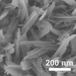 Carbon cloth loaded Vanadium nitride(NV) nanoarray
