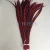 Import carnival costumes decorative long cheap Reeves pheasant tail feathers from China