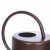 Import Cheap indoor and outdoor gardening mini metal modern plant watering can from China