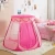 Import Children Girls Pink Princess Indoor Outdoor Ball Pit Pop Up Play Toy Tent with Carrying Case from China