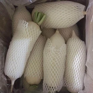Chinese Export Fresh White Radish