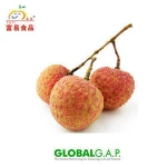 Chinese Fresh Lychee/Litchi/Lichee/Litchee fruit