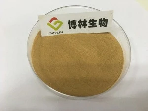Chinese Magnoliavine Fruit Extract / Fructus Schisandra Chinensis Extract Powder