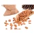 Import Chinese suppliers Pine Nuts, Pecan Nuts, Pine Kernels from China