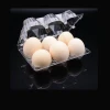 clear disposable plastic egg tray.