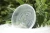 Import Clear Round Plastic Saucer Seeding Plant Saucer Transparent Flower Planter Pot Tray from China
