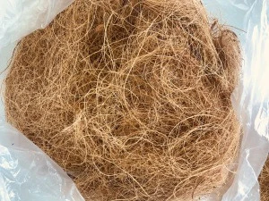 Coconut fiber coir fiber coconut husk fiber for mattress production from Vietnam factory - Ms. Mira