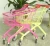 Import Colourful Child shopping carts / supermarket / grocery mini kids shopping trolley from China