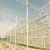 Import Commercial Patterned Tempered Agriculture Glass Greenhouse from China