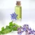 Import Cosmetic Grade Organic Pure Plus Omega6 Borage Seed Oil Food Grade from China