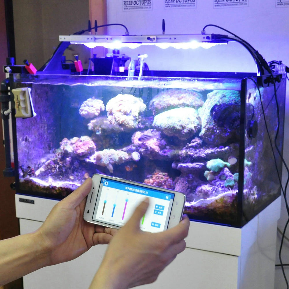 Buy Ctlite G4 Wifi Smart Control Reef Led Light Marine Aquarium Led ...