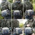 Import Custom Travel Hiking Waist Pack Sports Detachable Shoulder Strap Riding Backpack Multi-functional Large Capacity Waterproof AY from China