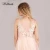 Import deep V Lace backless strapless A-Line evening cocktail party dress beading light pink lace chapel train bridesmaid dresses from China