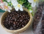 Delicious taste - ROBUSTA COFFEE BEANS WITH HIGH QUALITY -  ROBUSTA BLACK COFFEE