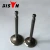 Import Diesel Generator Accessories 5KW 188F Diesel Engine Parts Intake and Exhaust Valves from China