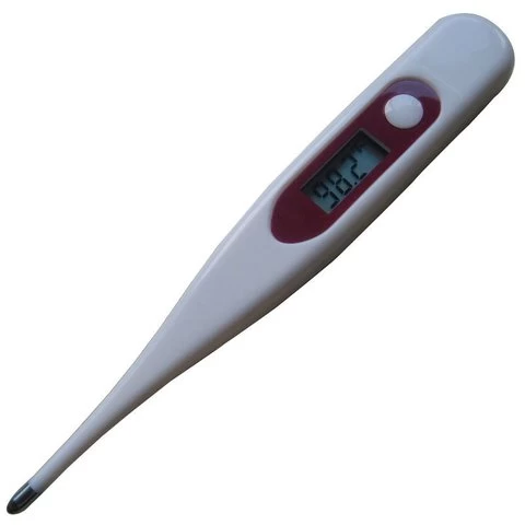 digital thermometer with sensor and probe T11