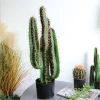 Display props home office indoor decoration faux bonsai plastic artificial plant potted green cactus