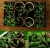 Import DIY Biodegradable Seedling Starter Kit  Peat Pots Trays Gardening Seeder Dibbers T-markers Humidity Dome Base GerminationTrays from China