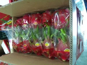 Dragon fruit Vietnam specialties - fresh dragon fruit for sale - red dragon fruit