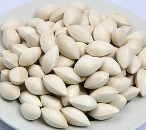 Dried and Fresh Ginkgo Nuts