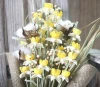 Dried natural plant craft artificial narcissus for valentine&#39;s day lover gift