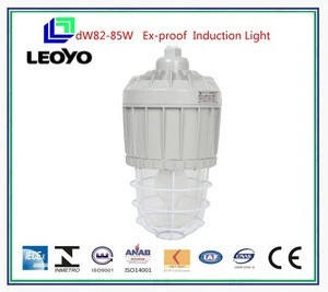 dW81Series Aluminun Explosion-proof Induction Lamp