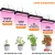 Import Easy Installation Lm301h Lm301b Red And Blue Fill Light Plant Culture Led Plant Grow Light from China