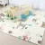Import Eco Friendly Non-Toxic Mat Kids Epe Baby Play Mat Baby Play Mat Activity Gym Baby Game Kingdom from China