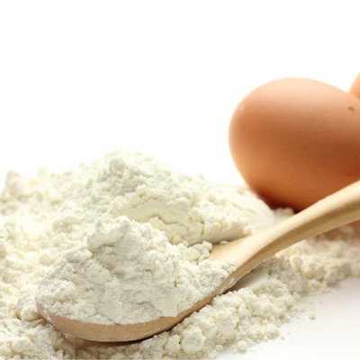 egg albumen powder/Egg White powder