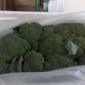 egyptian fresh Broccoli high quality