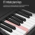 Import electronic organ toy electronic keyboard piano 61 keys keyboard piano from China